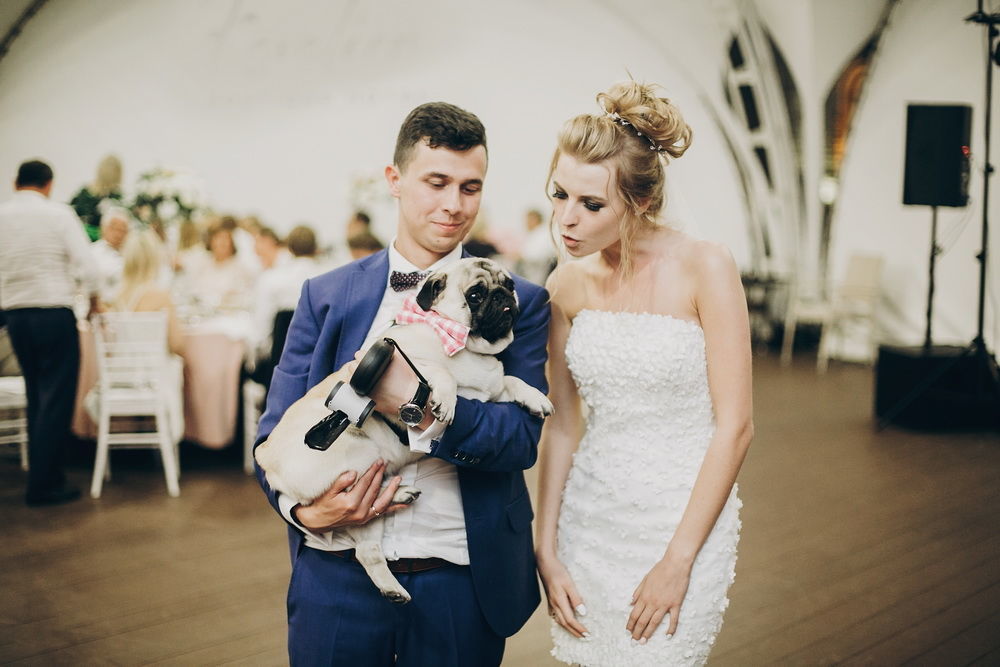 Dogs in weddings